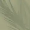 Shade Green
