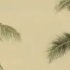 Zamia 