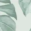 Panama Green