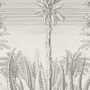 Aloe Grey