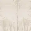 Aloe Neutral