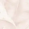 Maranoa Pink