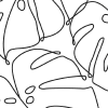 Deliciosa Monochrome