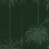 Queen Palm Green