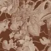 Tropika Brown