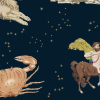 Astrology Navy