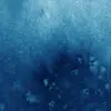Blot