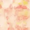 Peace Orange