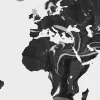Globetrotter