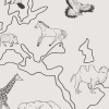 Roam