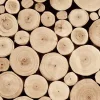 Bark