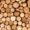 Logs