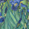 Irises