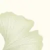 Ginkgo Green