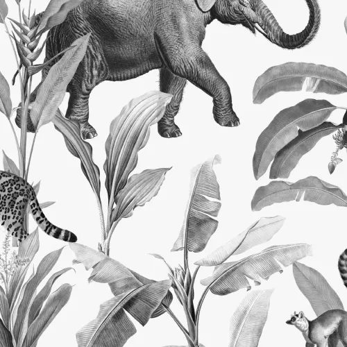 Musta ja harmaa kuvitettu Jungle Animal tapetti