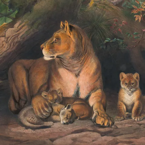 Mural de parede Panthera pintado à mão com leões e filhotes por Joseph Wolf