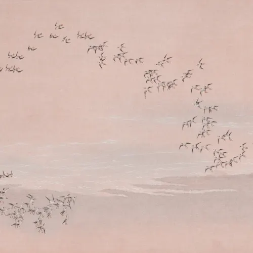 Roze vogelpop Landschap Pastel Muurschildering