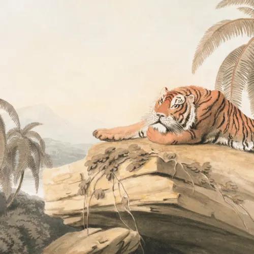 Mural ilustrado da paisagem tropical do tigre