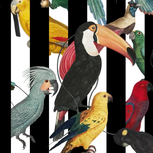 Colorful Tropical Birds & Stripes Pattern Wallpaper Mural
