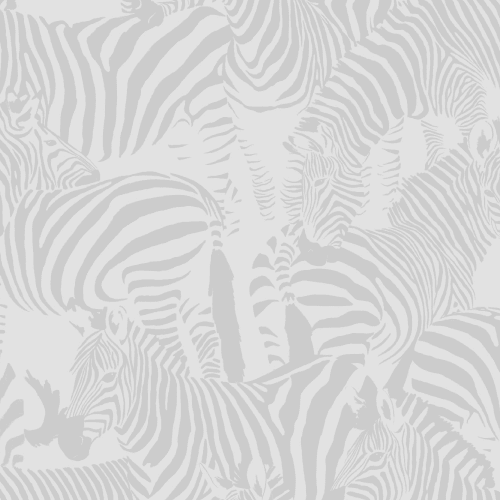 Gray Zebra Animal Modern Repeat Pattern Wallpaper