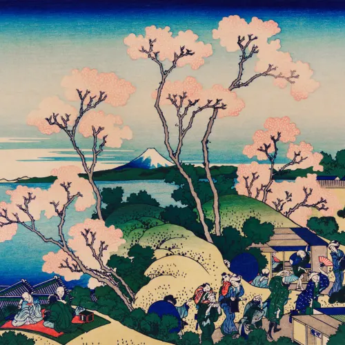 Japanese Cherry Blossom Tree Sakura Wallpaper Mural
