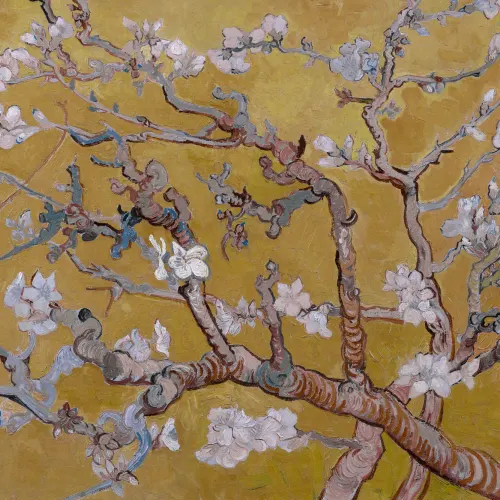 Customized Almond Blossom by Vincent Van Gogh Wallpaper Mural