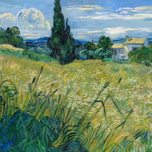 Green Wheat Field with Cypress by Vincent Van Gogh Mural