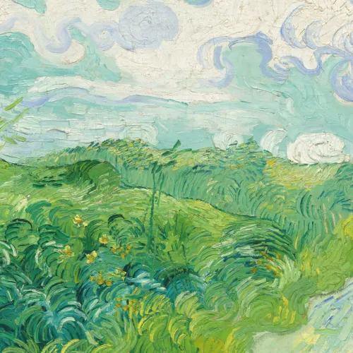 Green Wheat Fields by Vincent van Gogh Wall Mural