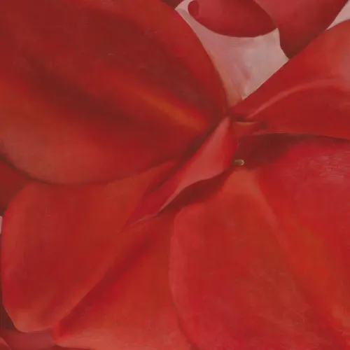 Panoramique Red Canna de Georgia O’Keeffe