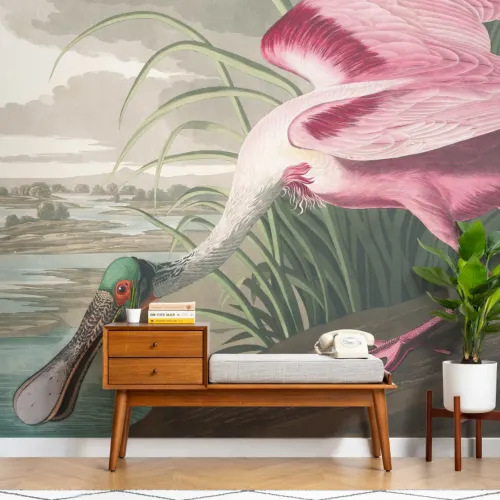 Roseate Spoonbill Wallpaper Mural