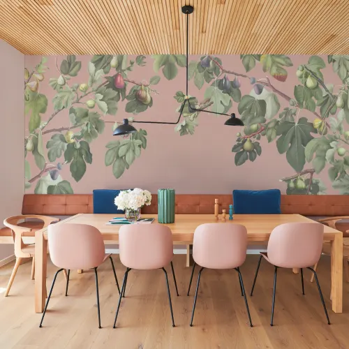 Vintage Fig Plant Botanical Illustration Murales de papel pintado sobre fondo rosa