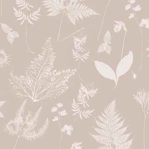 Pink Botanical Plant Wallpaper
