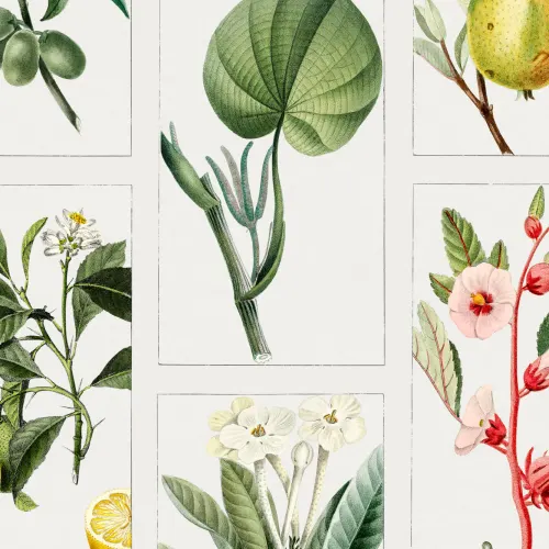 Papier Peint Motif Carreaux Fruits et Fleurs Botaniques