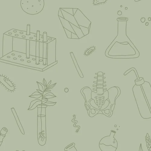 Carta da Parati Verde con Illustrazioni di Utensili Scientifici