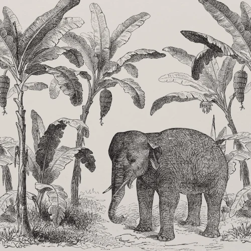 Papier Peint Panoramique Illustration Vintage d’Explorateur avec un Éléphant d’Afrique