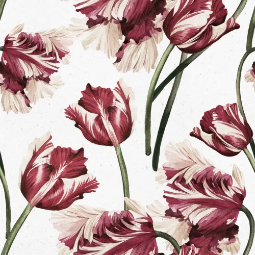 Rood Tulpen Behang Muurschildering