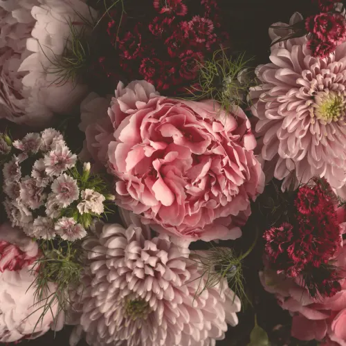Pink Photographic Oversized Dark Moody Floral Wallpaper Mural