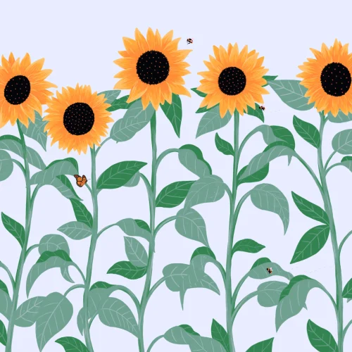 Sunflower & Butterfly Wallpaper Mural