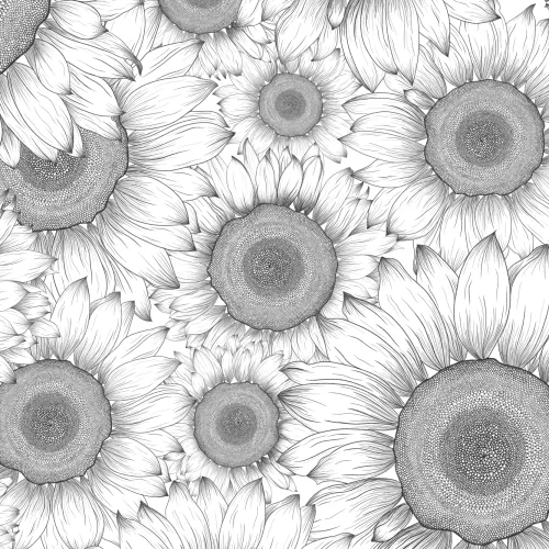Black & White Illustrated Sunflower Floral Wallpaper Mural