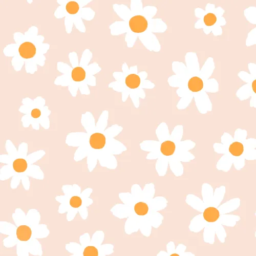 Rosa & Hvit Retro Daisy Floral fototapet
