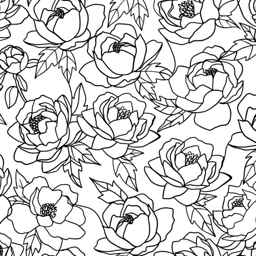 Svart og hvit linjetegning blomstermønster fototapet