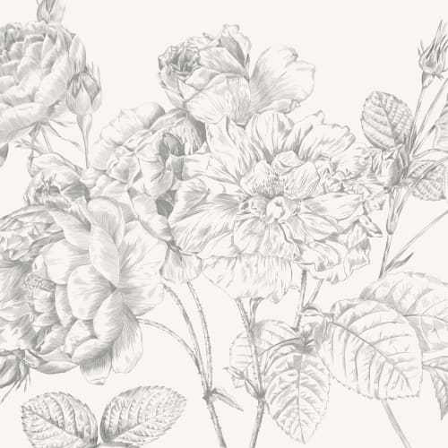 Grå stor illustrerad rosor fototapet