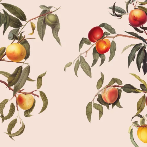 Vintage Neutral Botanical Peach Tree Wallpaper Mural