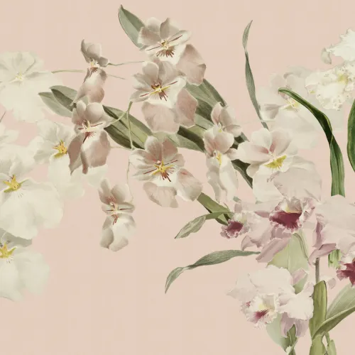 Weiche pastellfarbene florale Samtblüte Fototapete für elegante Räume