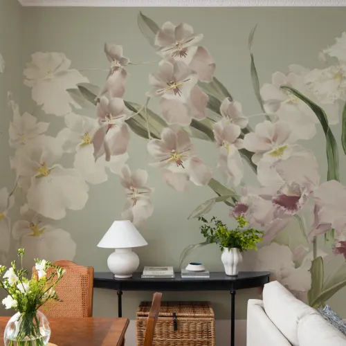 Orchid Elegance