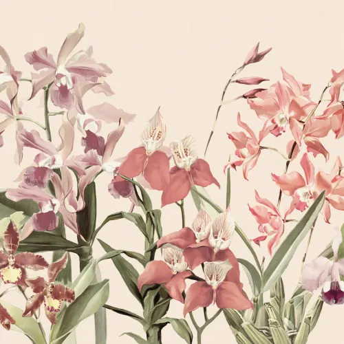 Orchideen-Oase