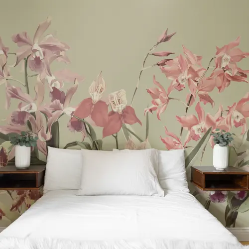 Eleganckie orchidee