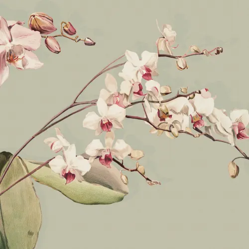 Green Botanical Elegance Floral Mural for Tranquil Spaces