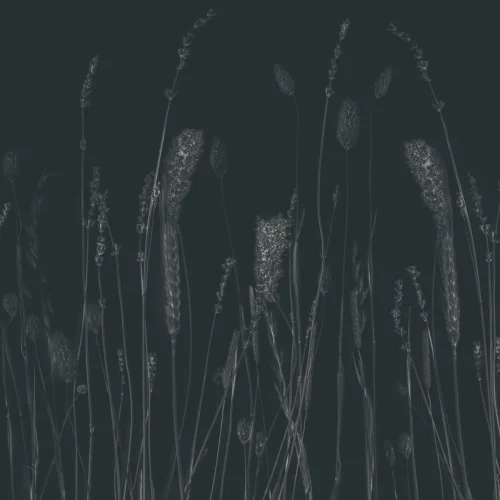 Marineblå tørkede blomster veggtapet