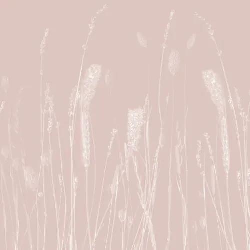 Light Pink Dried Flowers Wall Mural